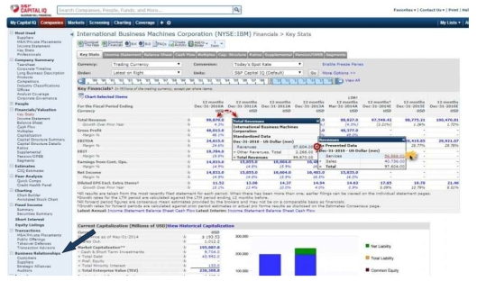 S&P Capital IQ Company 탭의 화면