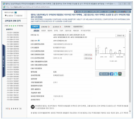 특허 상세 정보 창