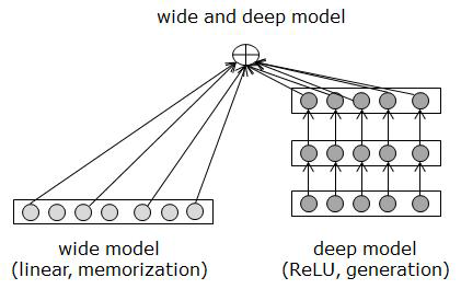 The structure of wide and deep model