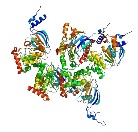 Cystic fibrosis transmembrane conductance regulator 구조