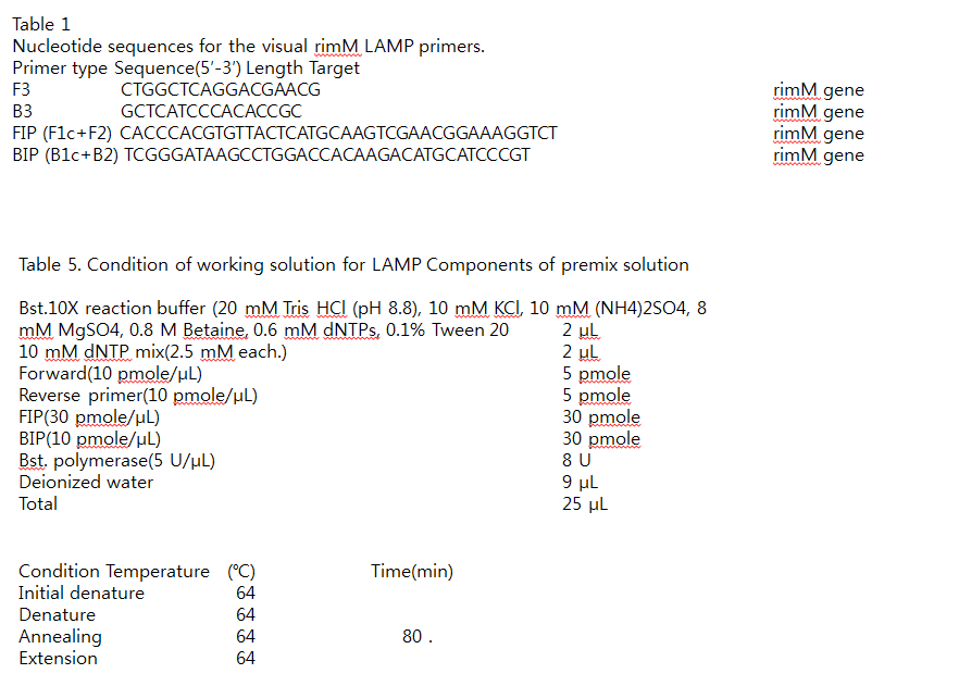 기존 rimM 증폭 조건
