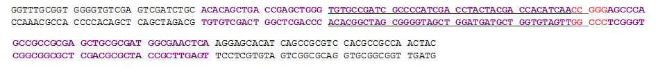 IS6110 target gene