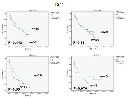 TS**의 발현량에 따른 환자 생존율 비교
