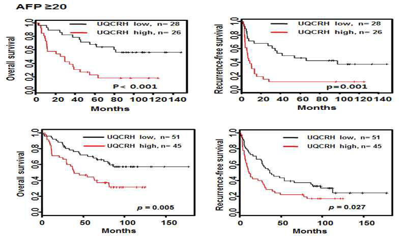 UQCRH는 나쁜 예후인자임