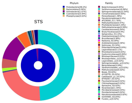 Pyrosequencing으로 분석한 STS 재질에 형성된 미생물의 Phylum 및 Family 조성