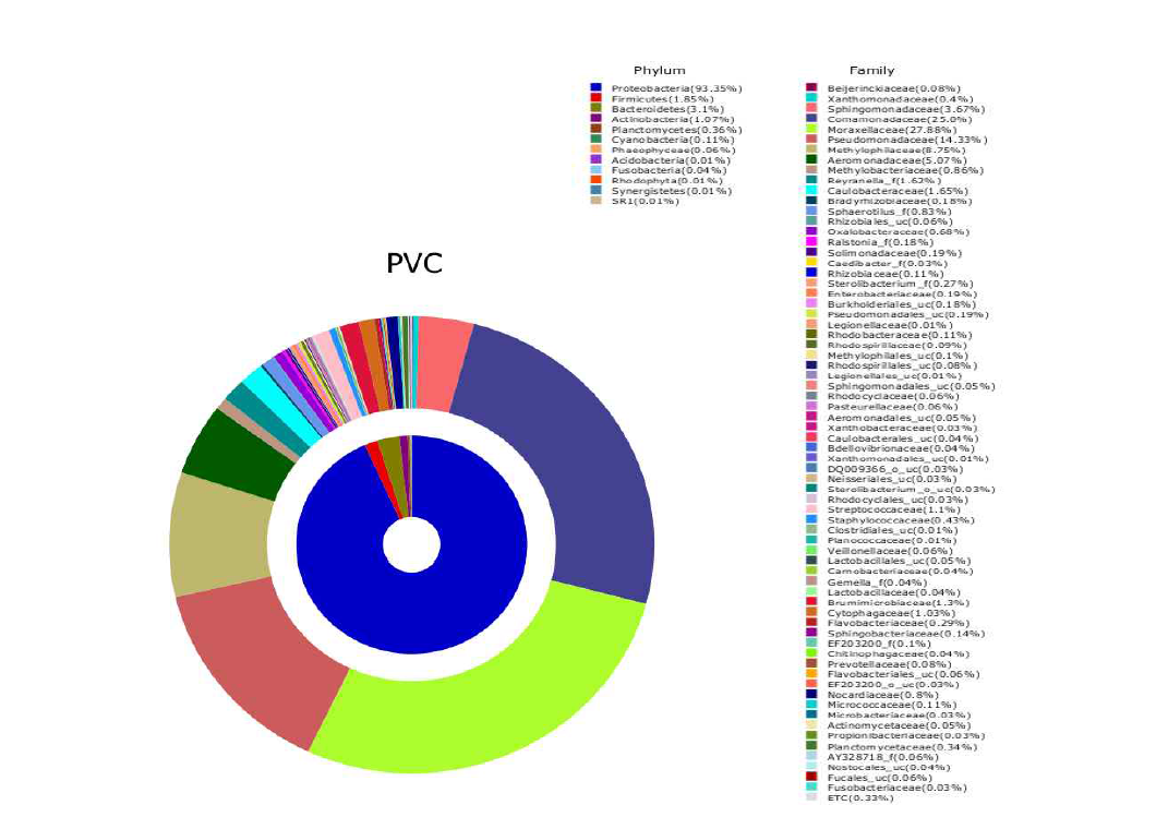 Pyrosequencing으로 분석한 PVC 재질에 형성된 미생물의 Phylum 및 Family 조성