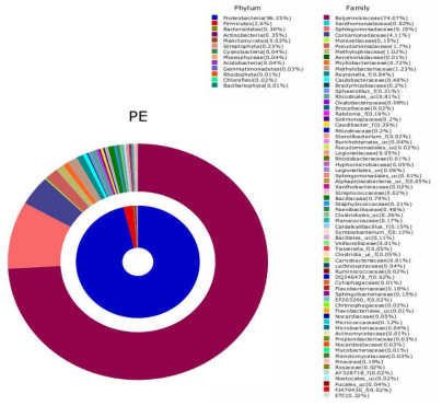 Pyrosequencing으로 분석한 PE 재질에 형성된 미생물의 Phylum 및 Family 조성