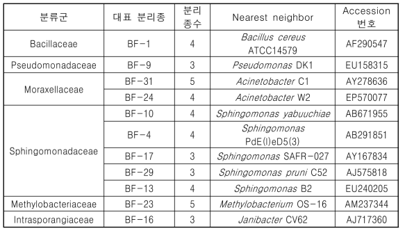 16S rDNA 염기서열 분석을 이용한 생물막 형성 미생물의 분류 동정