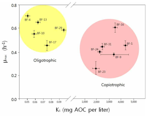 생물막 형성 미생물의 생장 동역학 상수(μmax, Ks)와 영양 요구성 분석