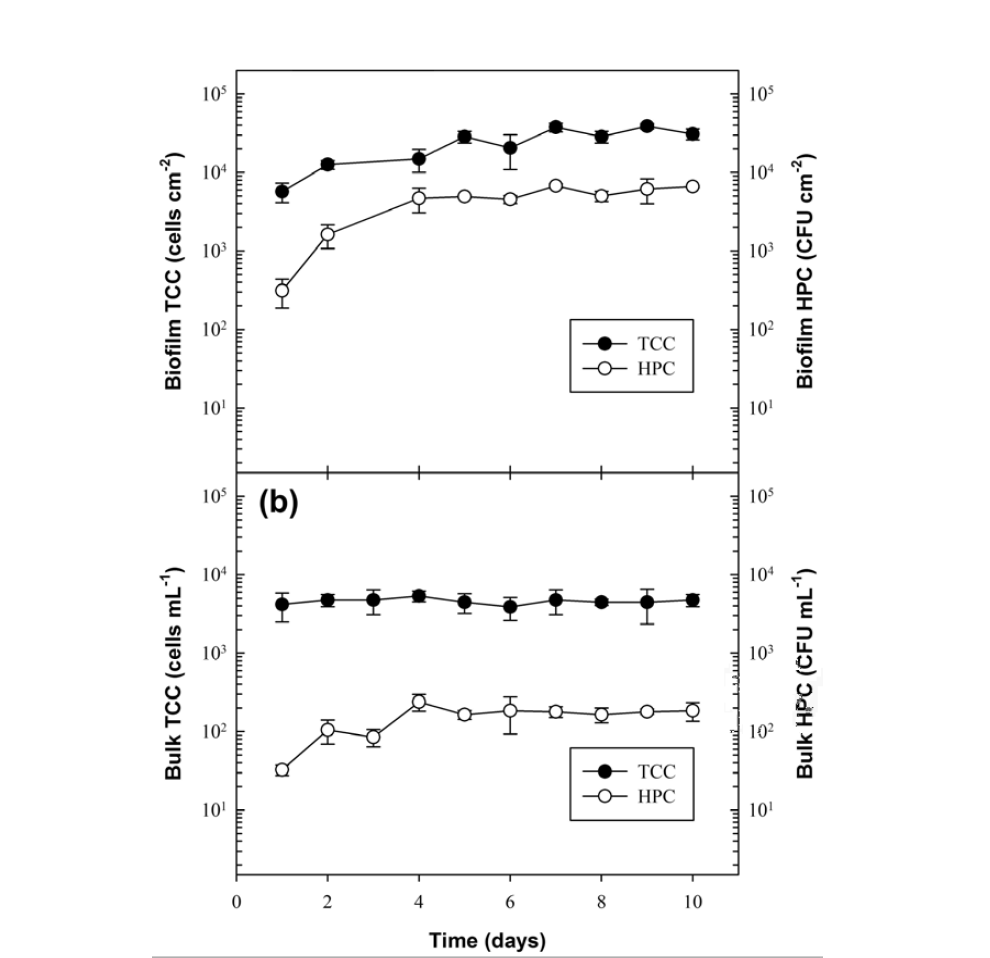 수돗물을 공급한 반응기의 (a)생물막과 (b)수중에서 측정한 총세균수(TCC)와 종속영양세균수(HPC)의 변화