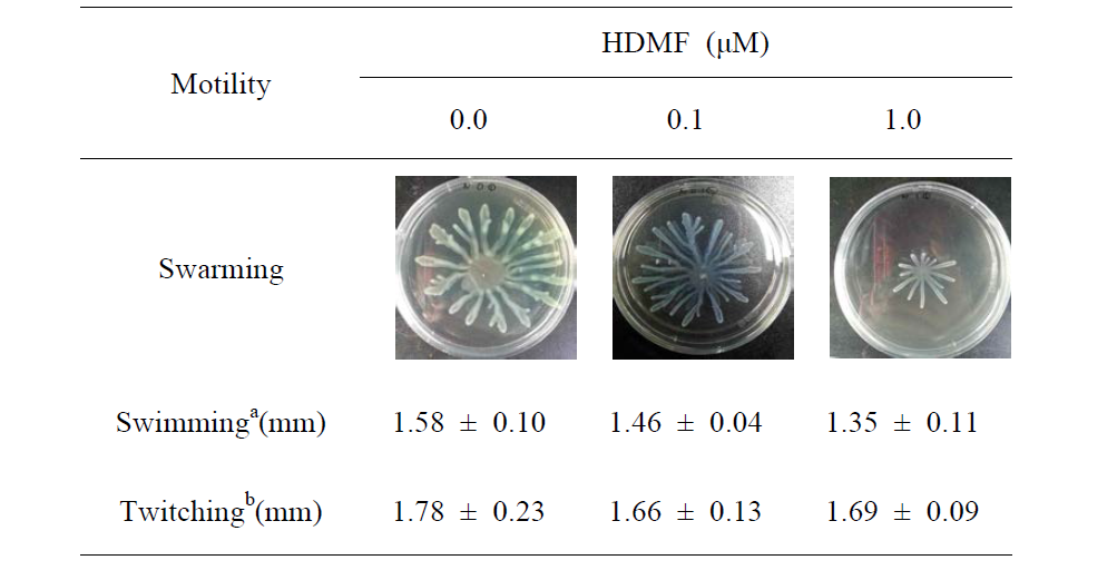 Pseudomonas aeruginosa PAO1의 운동성에 미치는 HDMF의 영향