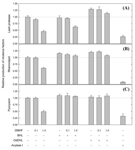 HDMF, BHL, 그리고 OdDHL이 존재할 때 P. aeruginosa 에 의한 virulence factor의 생성