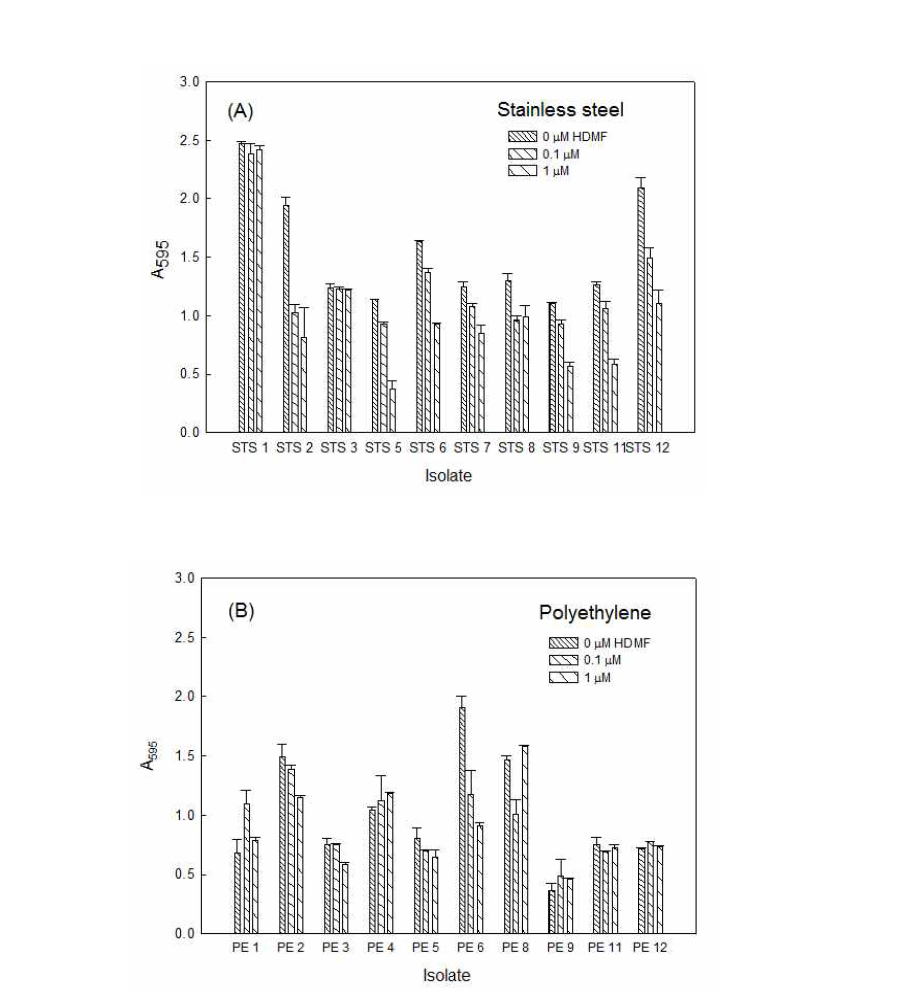 Stainless steel (A)과 Polyethylene (B)에서 분리한 균주에 대한 HDMF의 생물막 저해 효과