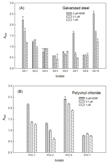 Galvanized steel (A)과 Polyvinyl chloride (B)에서 분리한 균주에 대한 HDMF의 생물막 저해 효과