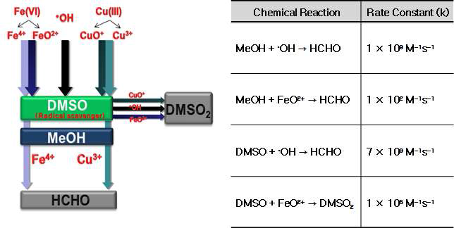 DMSO probe compound를 이용한 활성산화제의 정성방법 개념도