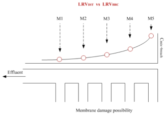 물질수지 수립과 LRVDIT vs. LRVBRC 평가 모식도