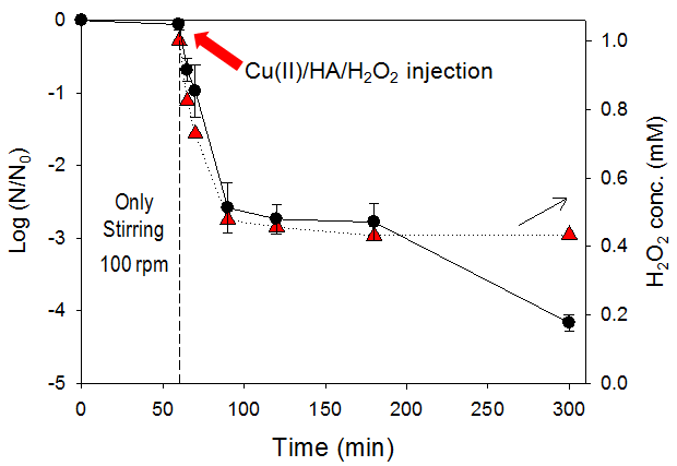Cu(II)/H2O2/HA 시스템에 의한 생물막에서의 미생물 불활성도