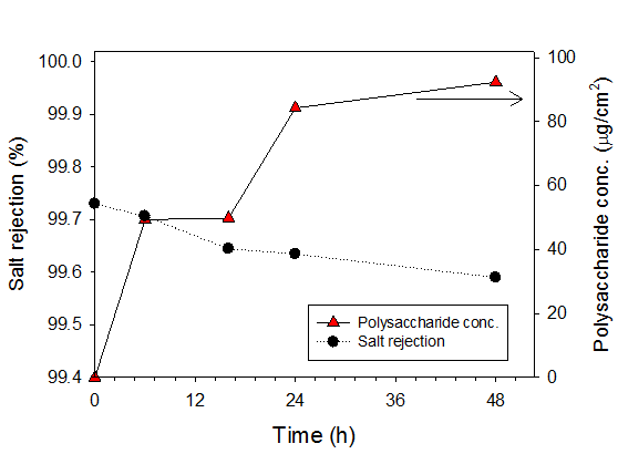 바이오파울링에 의한 염제거율과 polysaccharide 농도의 변화
