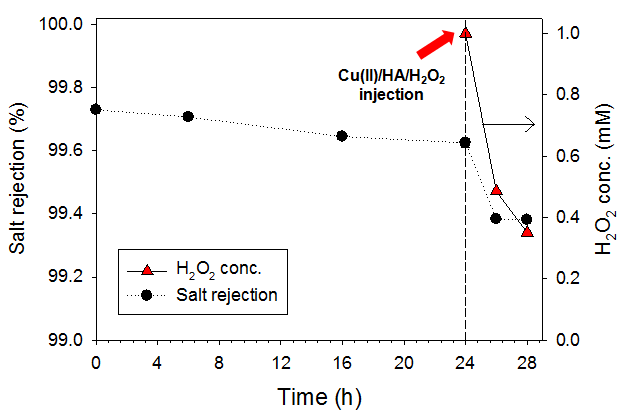 Cu(II)/H2O2/HA 시스템의 적용에 따른 염제거율 및 과산화수소의 농도 변화