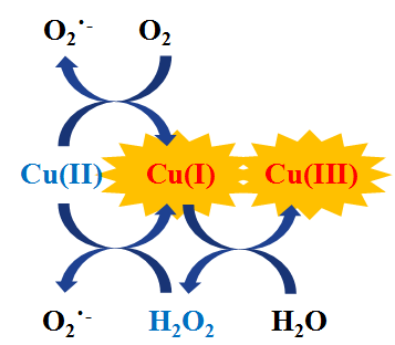 Cu(II)/H2O2/HA 시스템의 반응기작