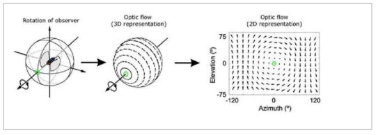 광학 흐름(Optical Flow)검출 기법