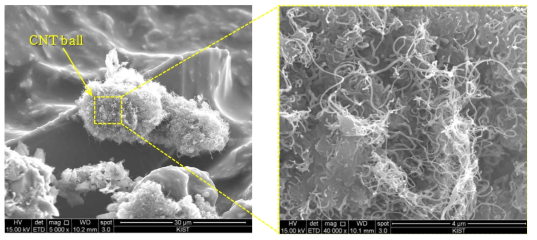 아스팔트 혼합물 내 CNT SEM 이미지