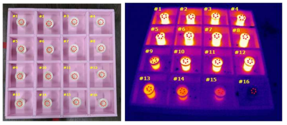시험용 샘플에 대한 온도 측정 시험편(좌)와 초기 열화상 결과(우)