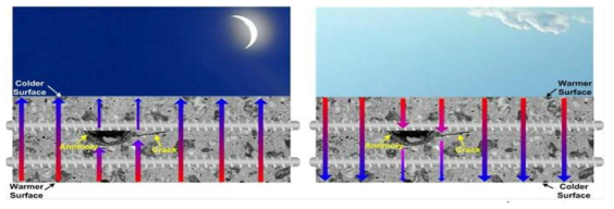 Heat Cycle of a Deck After Sunset (left) and After Sunrise (right).