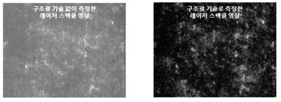 구조광 기술 측정법 사용 전후의 스펙클 영상 비교
