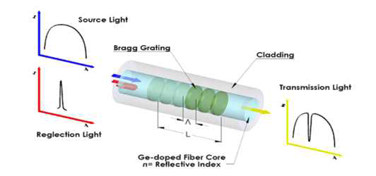 FBG 센서의 구조