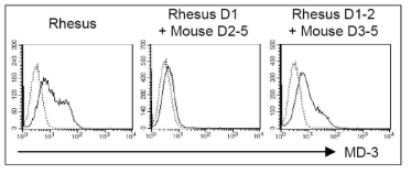 MD-3 항체가 인지하는 Rhesus ICAM-1 domain 확인 (점선, 2차항체 단독; 실선, MD-3 + 2차항체)