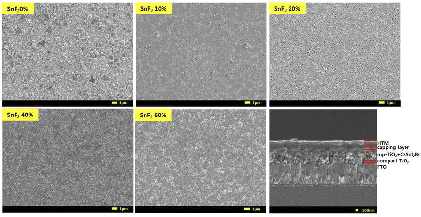 mp-TiO2 위에서의 SnF2 함량에 따른 CsSnI2Br의 박막 SEM 이미지와 SnF2 60% 함량을 가질 때 태양전지 단면 SEM 이미지