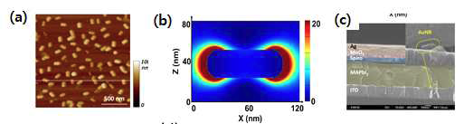 (a) 플라즈모닉 금나노막대 (40/80 nm) 어레이(array)의 AFM 높이 이미지 및 단면 분석. (b) λ=650 nm에서 AuNR 주위의 전기장 밀도 분포, 및 (c) 완성된 CH3NH3PbI3-AuNR 하이브리드 광검출기의 단면 SEM 이미지