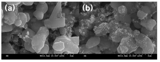 Pt/Ti4O7의 SEM 이미지 (a) CV 분석 전 (b) CV 분석 후