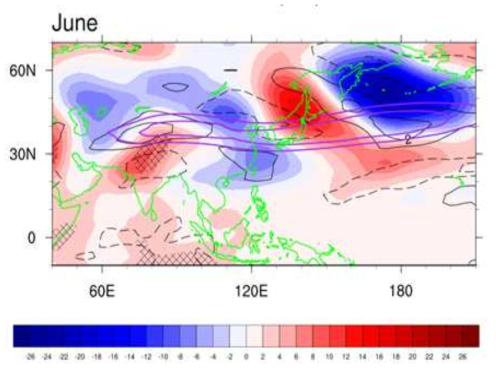 Spatial distribution of anomalous geopotential height at 500 hPa (shading), zonal wind at 300 hPa (contour), and climatological zonal wind at 300 hPa (purple contour).