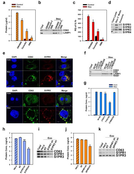 Release of exosomes is totally dependent on S1P signaling pathway.