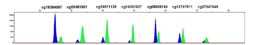 A representative electropherogram to analyze 7 CpG markers