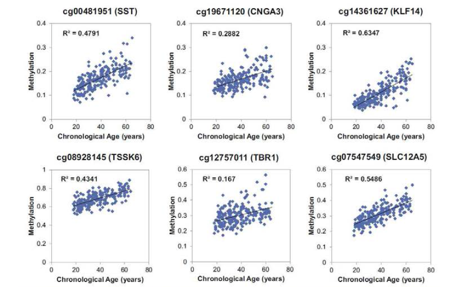 Correlation between age and methylation at 6 CpG sites in 226 saliva samples.