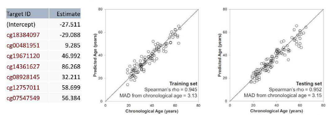 An age-predictive model for saliva. A multivariate linear regression model was constructed with age information and DNA methylation percentages at 7 CpG sites using a training set of 113 saliva samples.