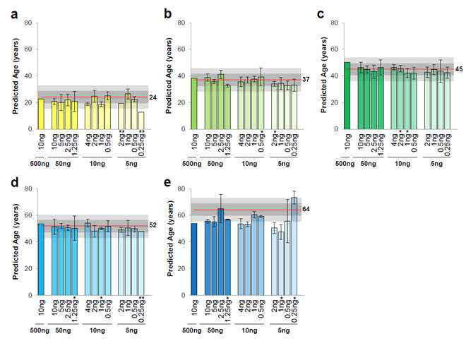 Sensitivity of the multiplex methylation SNaPshot assay for age prediction of saliva.
