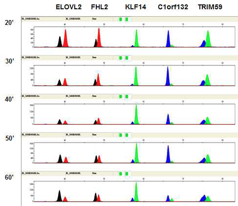 Multiplex methylation SNaPshot for the analysis of age-associated CpGs from blood.