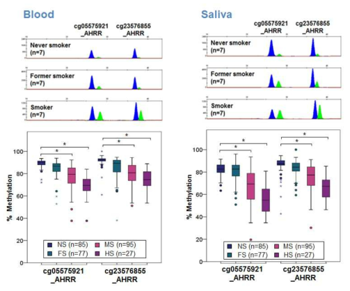 Electropherograms of a duplex methylation SNaPshot reaction to detect smoking-associated DNA methylation changes at 2 CpGs of the AHRR gene