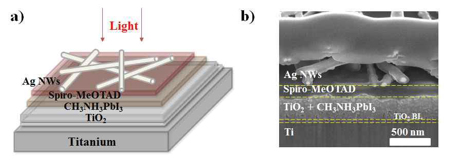 TCO free perovskite solar cell scheme과 단면 SEM 이미지