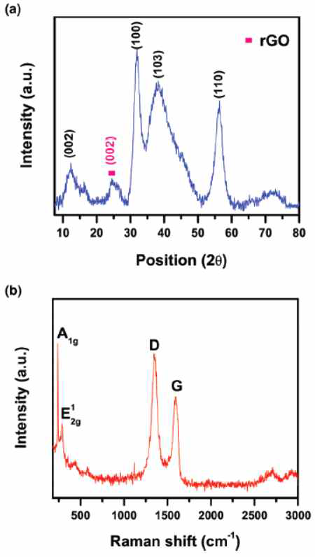 XRD와 Raman 스펙트럼