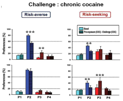 chronic 코카인에 대한 rGT 반응. 그룹간에 차이가 차등적으로 다르게 나타남을 알 수 있음