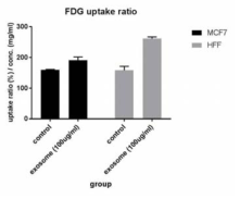 MDA-MB-231 엑소좀에 의한 MCF-7의 포도당 섭취 증가 검증