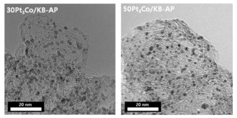 30 wt%(좌) 및 50 wt%(우)의 백금-코발트 합금 나노입자가 담지된 촉매의 열처리 전 투과전자현미경 사진.