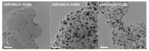 10, 30, 60 wt%의 백금-니켈 합금 나노입자가 담지된 촉매의 열처리후 투과 전자현미경 사진.