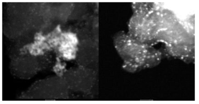 코스퍼터링을 통해 제조한 PtCu 합금 나노입자 촉매의 주사투과전자현미경 (STEM) 사진.