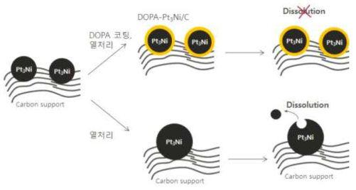 Dopamine 코팅된 Pt3Ni 촉매의 내구성 증가 메커니즘 모식도.